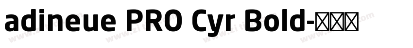 adineue PRO Cyr Bold字体转换
